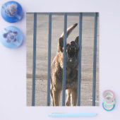 吠える犬 チラシ (シングル)