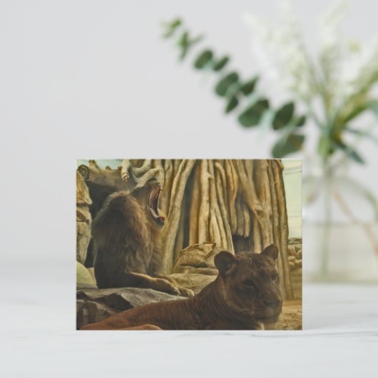 吠えろ! ポストカード (スタンド正面)