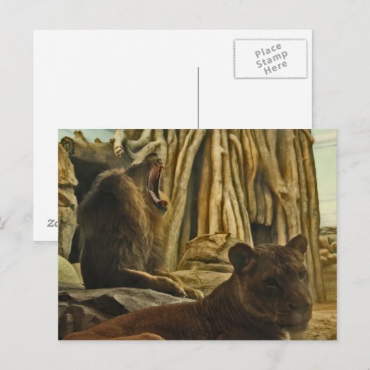 吠えろ！ ポストカード (正面/裏面)