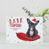 吠え声のばかばかしくかわいい愛犬家の休日の写真カード シーズンカード (スタンド正面)