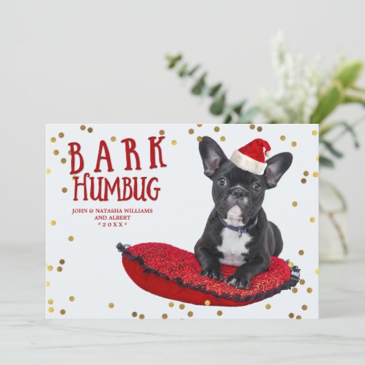 吠え声のばかばかしくかわいい愛犬家の休日の写真カード シーズンカード (スタンド正面)