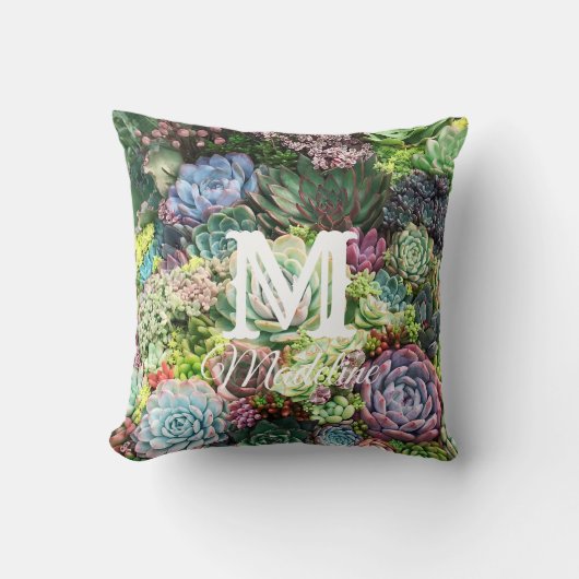 吸カラフル肉園 クッション (正面)