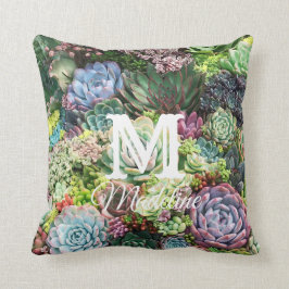 吸カラフル肉園 クッション