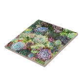 吸カラフル肉園 タイル (側面)