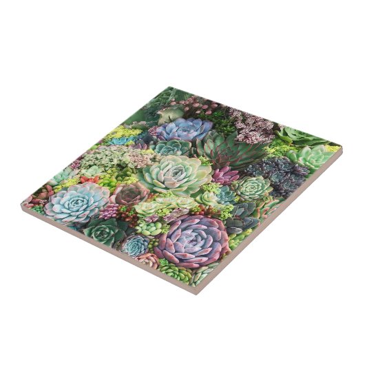 吸カラフル肉園 タイル (側面)