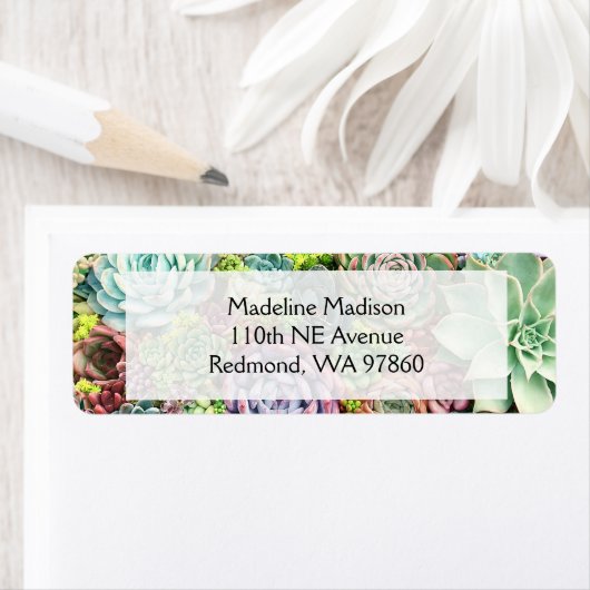 吸カラフル肉園 ラベル (インサイチュ)