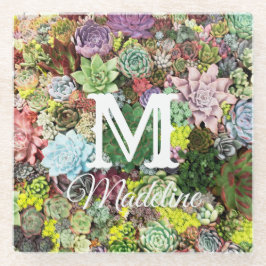 吸カラフル肉類 ガラスコースター