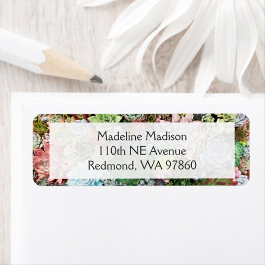 吸カラフル肉類 ラベル (インサイチュ)