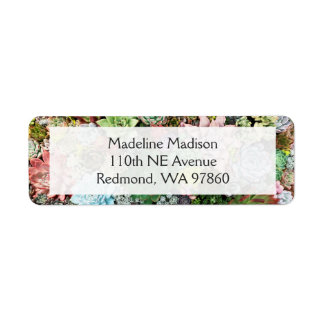 吸カラフル肉類 ラベル