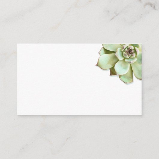 吸汁性結婚エンク空白のロージャカード 名刺 (裏面)