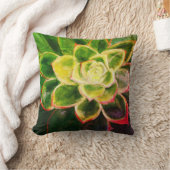 吸汁性絵を描スロークッション クッション (ブランケット)