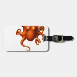 吸盤は見、 ラゲッジタグ