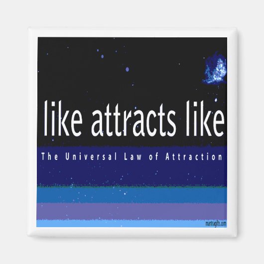 吸着マグネットの普遍法則 マグネット (正面)