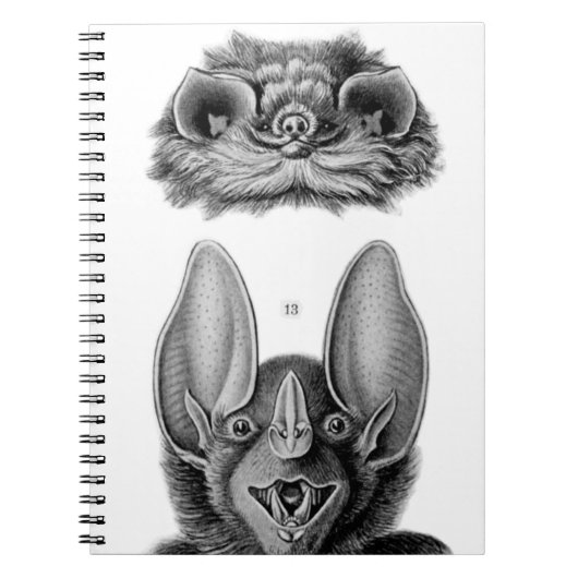 吸血鬼のためのヴィンテージバットノート ノートブック (正面)