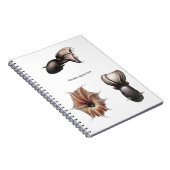 吸血鬼のイカのノート ノートブック (右側)