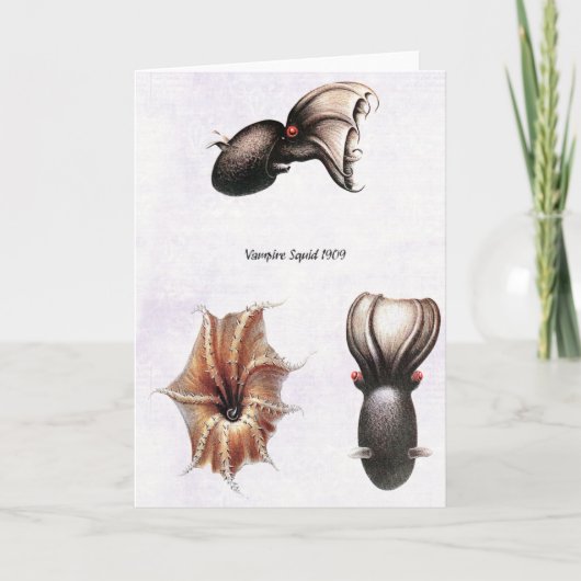 吸血鬼のイカカード カード (正面)