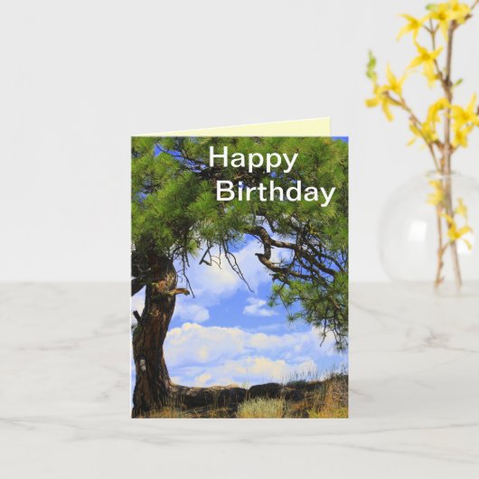 吹かれる風-ハッピーバースデーカード カード (黄色い花)