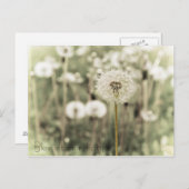 吹簡単さ ポストカード (正面/裏面)