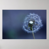 吹遠くに ポスター (正面)