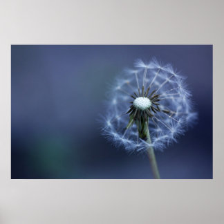 吹遠くに ポスター