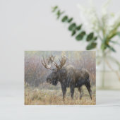 吹雪の中でブルムースと《植物》アスペンの木々 ポストカード (スタンド正面)