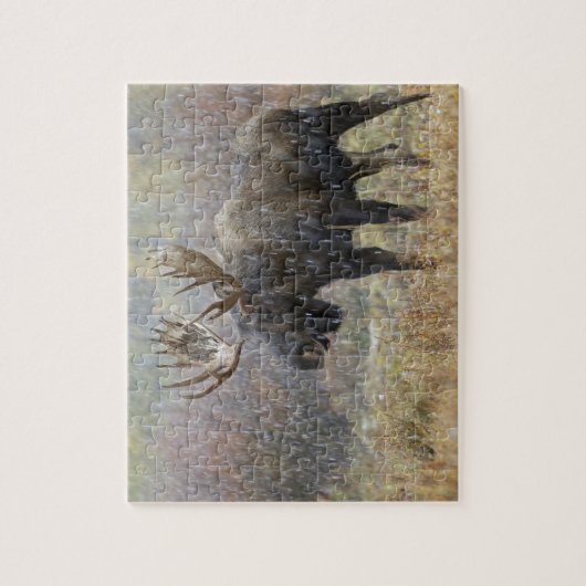 吹雪の中で《植物》アスペンの木々を持つ牛のムース ジグソーパズル (縦)