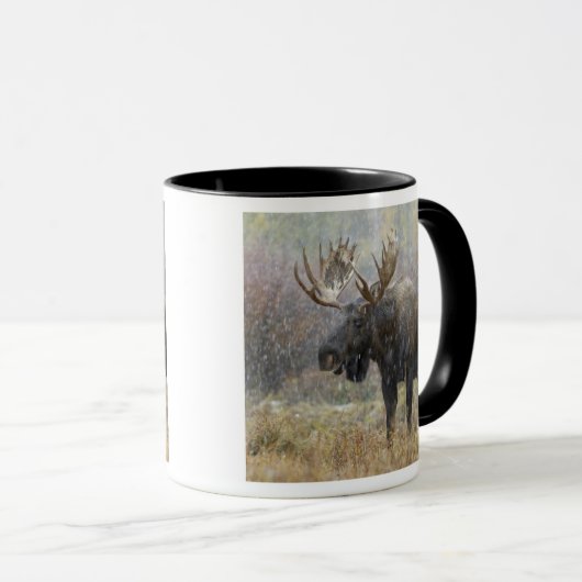 吹雪の中で《植物》アスペンの木々を持つ牛のムース マグカップ (正面右)