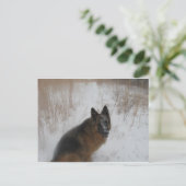 吹雪の中のドイツの羊毛の犬 ポストカード (スタンド正面)