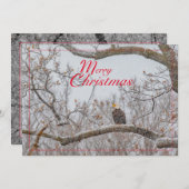 吹雪の中のワシ シーズンカード (正面/裏面)