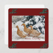 吹雪の中の3ダックパレード休日はがき シーズンカード (正面/裏面)