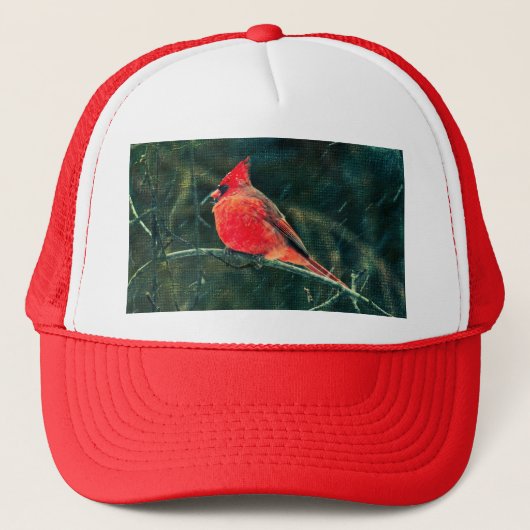 吹雪の冬の（鳥）ショウジョウコウカンチョウ – 拡張 キャップ (正面)