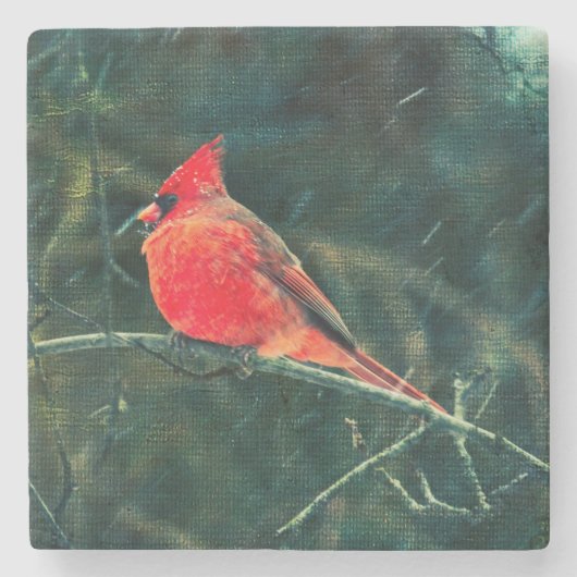 吹雪の冬の(鳥)ショウジョウコウカンチョウ – 拡張 ストーンコースター (正面)