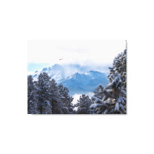 吹雪の後のパイクスピークと鷲の飛翔
