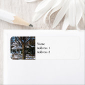 吹雪の後の家 ラベル (インサイチュ)