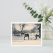 吹雪の後,ブルームフィールド, NJヴィンテージ ポストカード (スタンド正面)