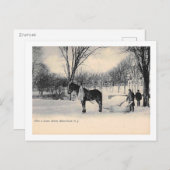 吹雪の後,ブルームフィールド, NJヴィンテージ ポストカード (正面/裏面)