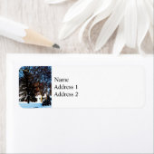 吹雪の後 ラベル (インサイチュ)