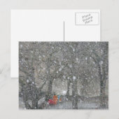 吹雪の森 ポストカード (正面/裏面)
