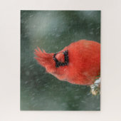 吹雪の間の松の(鳥)ショウジョウコウカンチョウ ジグソーパズル (縦)