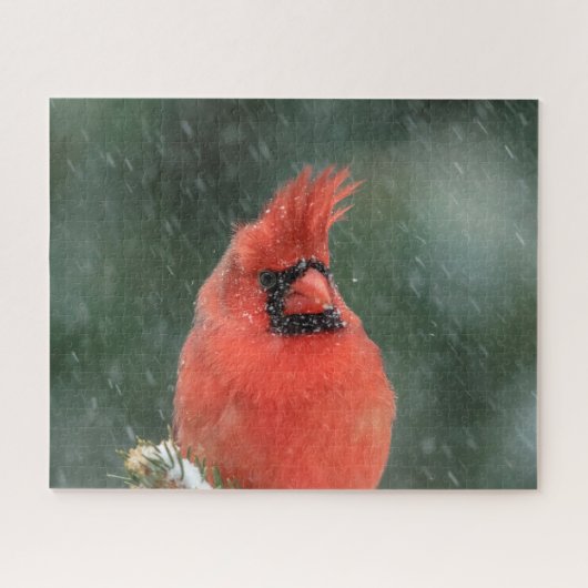 吹雪の間の松の(鳥)ショウジョウコウカンチョウ ジグソーパズル (横)