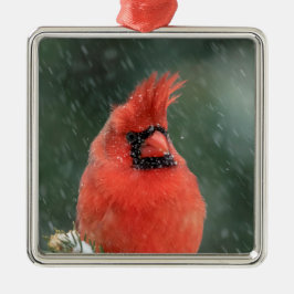 吹雪の間の松の（鳥）ショウジョウコウカンチョウ メタルオーナメント