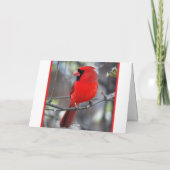 吹雪ノートカードの耐震(鳥)ショウジョウコウカンチョウ カード (裏面)