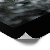 吹雪フクロウのポスター ポスター (角)