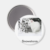 吹雪 マグネット (正面/裏面)