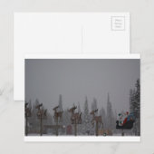 吹雪 雪 雪の結晶 凍った氷 サンタクロース シーズンポストカード (正面/裏面)