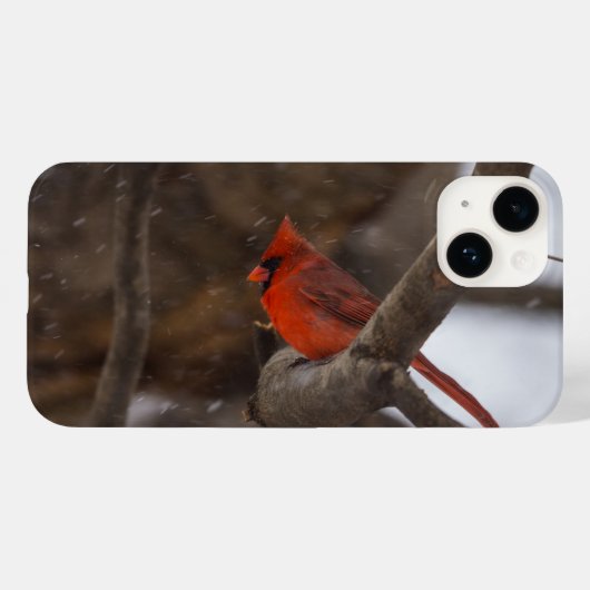 吹雪(鳥)ショウジョウコウカンチョウiPhoneケース Case-Mate iPhoneケース (裏面 (横))