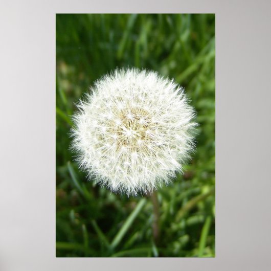 吹 ポスター (正面)