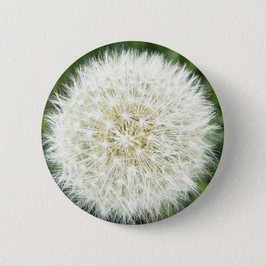 吹 缶バッジ (正面)