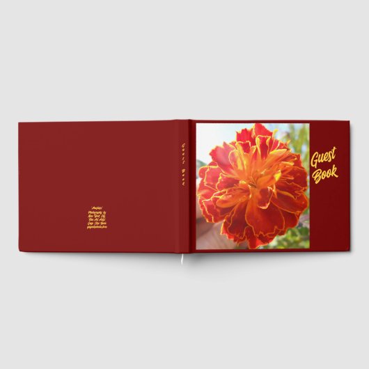 吻合 ゲストブック (全面)