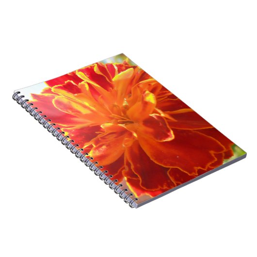 吻合 ノートブック (右側)